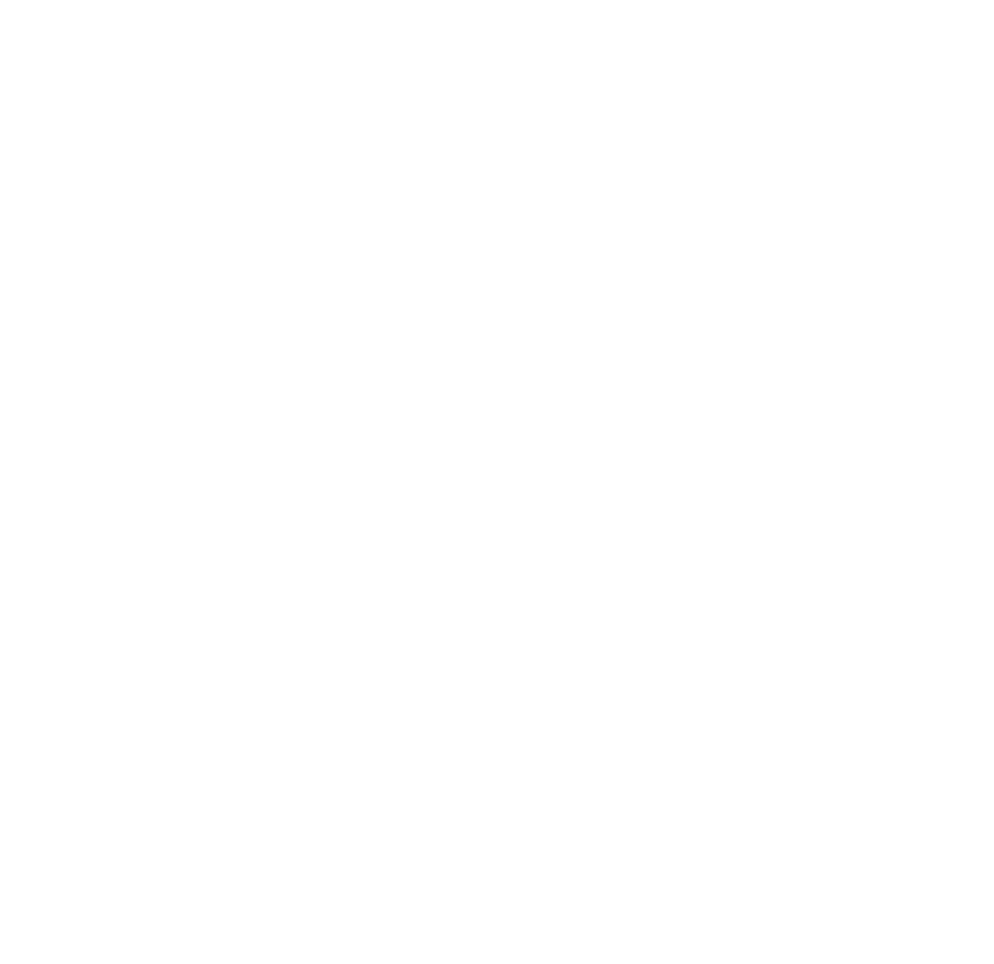 TECNOELEV Vertical Elevadores